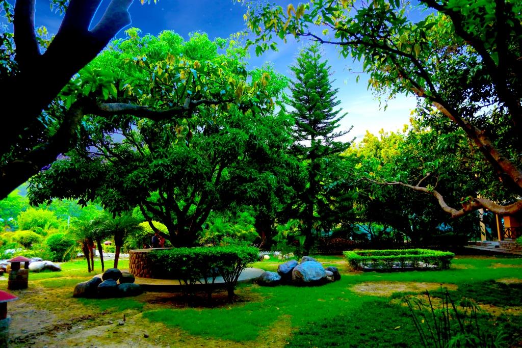 Corbett Wild Resort