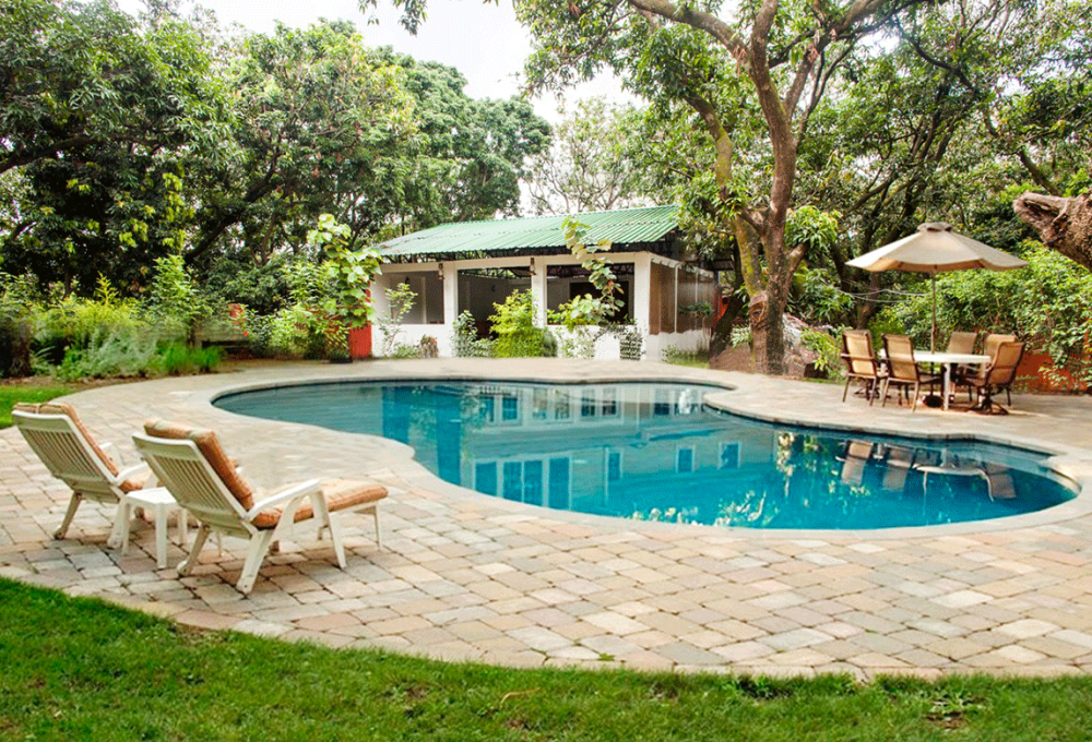 Holiday Highlight Corbett